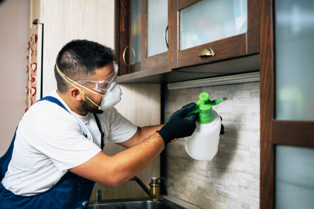 Pest Control Cost in Greenwood Lake, NY