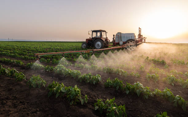 Best Mosquito Control Services  in Greenwood Lake, NY