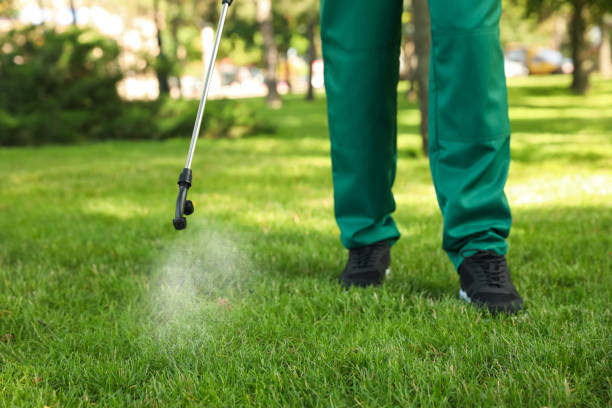 Best Termite Control Services  in Greenwood Lake, NY