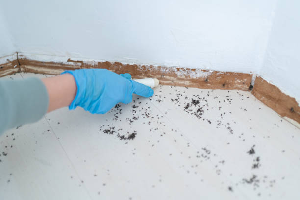Pest Prevention Services in Greenwood Lake, NY