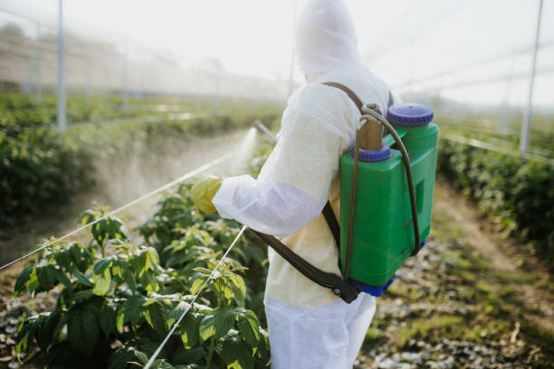 Greenwood Lake, NY Pest Control Company